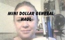 Mini dollar general haul