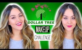 DOLLAR TREE Makeup Challenge