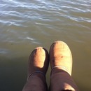 siting on the dock