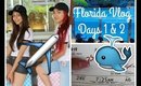 Florida Vlog Day 1 & 2 | Dolphin Love !