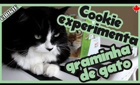 Cookie experimenta: GRAMA de GATO