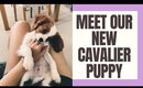MEET OUR NEW PUPPY!!!⎮ROMPER THE CAVALIER