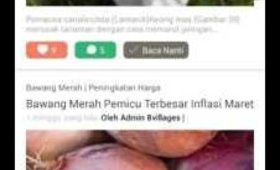 05 Fitur Artikel di Aplikasi PETANI