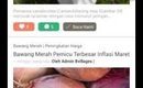 05 Fitur Artikel di Aplikasi PETANI