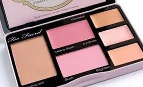 TOO FACED PALETTE REVIEW~ NO MAKEUP, MAKEUP