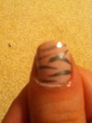 Zebra with pink and silver