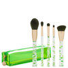 Beautylish Presents The 420 Brush Collection