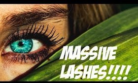 HOW TO GET MASSIVE LASHES!