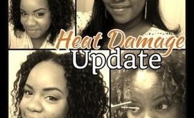 Heat Damage Update: Cutting my damaged ends