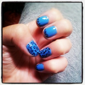 Sky blue  with cheetah tips