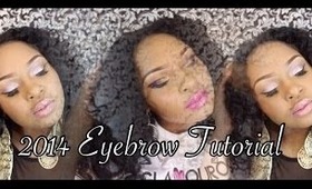 2014 Eyebrow Tutorial