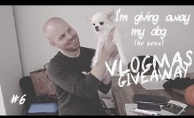 I GOT IN AN ACCIDENT VLOGMAS 2017 | 12 DAYS OF GIVEAWAYS