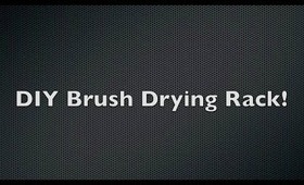 DIY Brush Drying Rack!