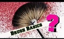 Beginner Makeup Brushes:  Eye Edition
