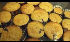 Blueberry Protein Muffins