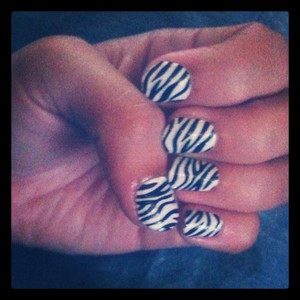 Kiss Nail Dress Fashion Strips - Zebra Print