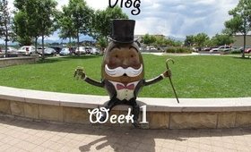Vlog Week 7/1/14 | Dentist and Lunch at the Park!