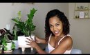 Meet My Plant Familly! | My Inddor Plant Collection alishainc