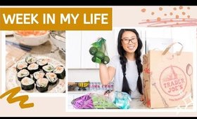 WEEK IN MY LIFE | cooking, baby updates & getting inspired!✨