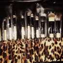 Six plus make up brushes (: