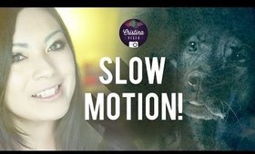Slow Motion Noobs!
