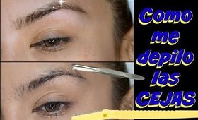 Depilacion de CEJAS despues de 2 semanas / how Shape your  own eyebrow | auroramakeup