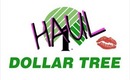 Dollar Tree Haul 1-28-13