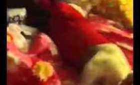 Vlog