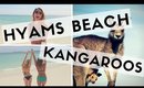 HYAMS BEACH & KANGAROO SPOTTING | Chloe Madison