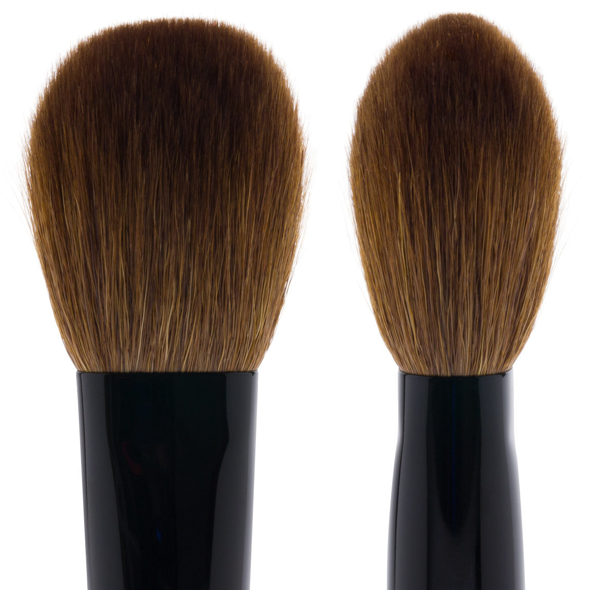 Sonia G. Cheek Pro | Beautylish