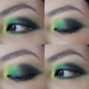 Green,yellow & black eye colour. .