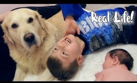 RAW REAL LIFE FAMILY VLOG | Danielle Scott