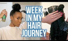 Keepin' It Real | Week In My Hair Journey Ep.8