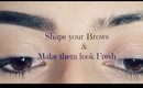 How to Shape your Brows & Make them look Fresh and Clean