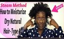How to Moisturize Dry Natural Hair- Type 4c (Steam Method)