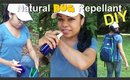 DIY Natural Bug Repellant - Ms Toi