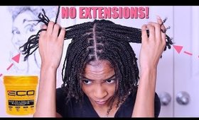 How To| Box Braids Protective Style on Natural Hair No Extensions