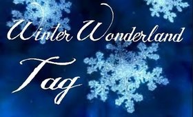 ♥Winter Wonderland Tag♥ Collab w/Lipglossandconverse | Briarrose91