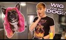 MAKING A WIG FOR MY DOG!? | Shop Will Beauty