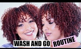 My SUPER Defined WASH and GO Routine ⇢ Natural Hair || UPDATED 2017