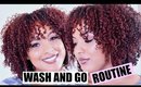 My SUPER Defined WASH and GO Routine ⇢ Natural Hair || UPDATED 2017