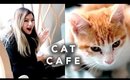Cat Cafe! First time experience!