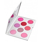 Blush Pre-Set Palette