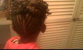 Protective style for Kynnedy (little girls) Two strand twist with braids