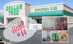 Dollar Tree Haul #14 | June 2015 | PrettyThingsRock