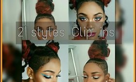 SPACE BUNS AND TOP KNOTS WITH CLIP INS FOR SHAVED SIDES