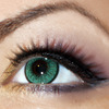 Gold And Purple Eye