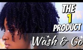 My 1 Product Summer Wash & Go  Routine | Shlinda1