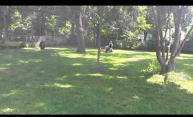 Dog thinks girl is gonna get hurt