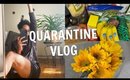Quarantine Day in My Life | VLOG